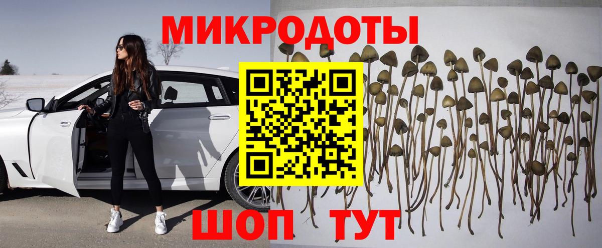 Гудермес  Псилоцибиновые грибы Magic Shrooms  Галлюциногенные грибы GOLDEN TEACHER  Вход с VPN 
